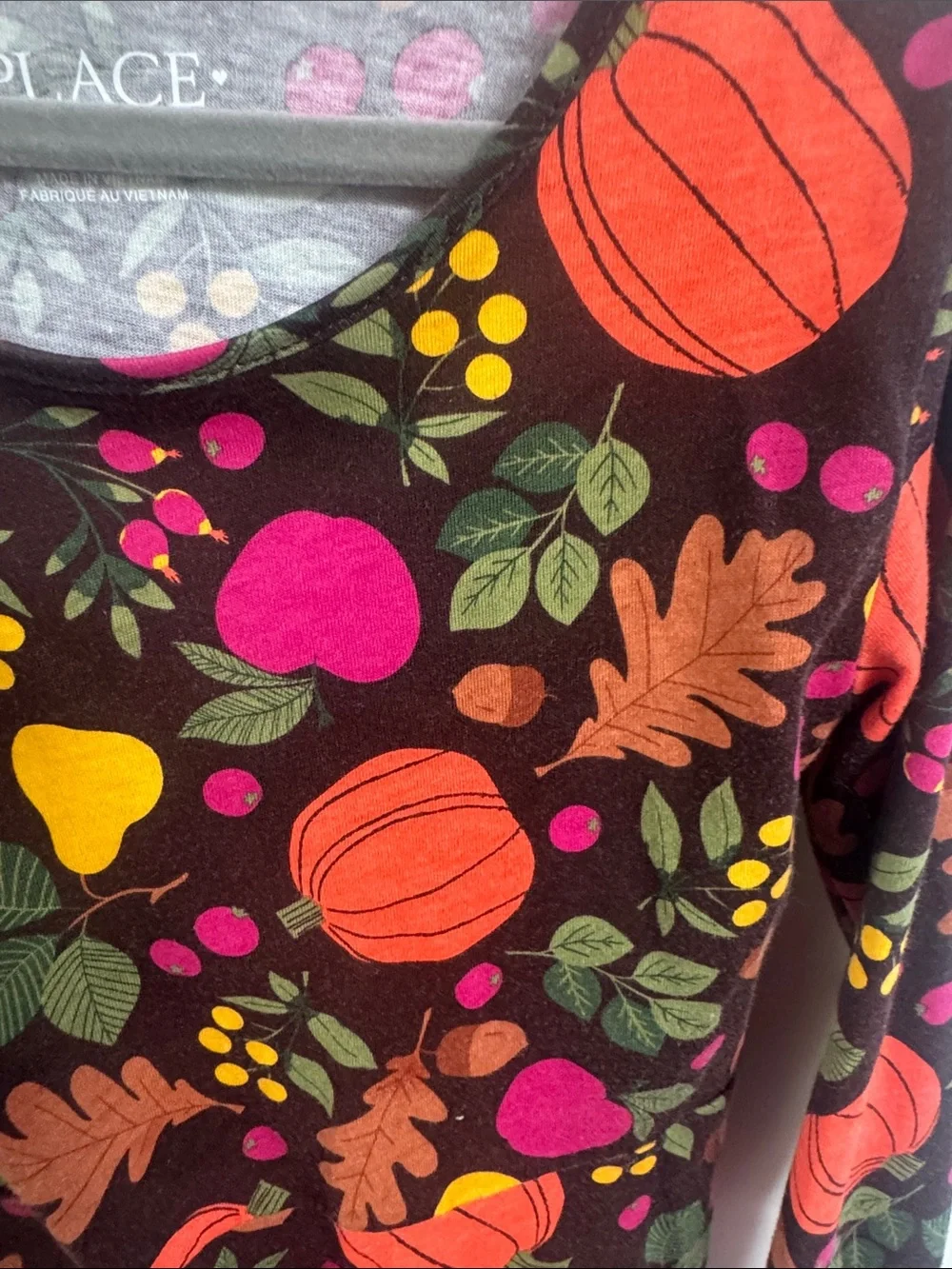 The Children's Place Brown Dress with Orange Pumpkin & Pink Fruit Pattern